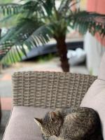 Vila zvjezda 2 - Bed and Breakfast Jajce