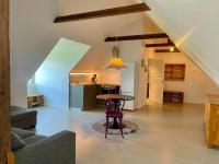 One-bedroom Loft Apartment 