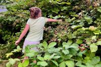 Waterfront House, Mt Baker Views, Hiking, 2 Decks - B&B Lummi Island