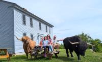 Cozy Couples Studio Slow Down on a Highland Cattle Farm - B&B Loudon