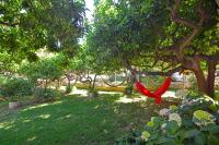 Apartamento con terraza 