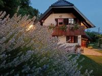 Vineyard cottage Podržaj - B&B Otočec