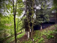 THE STARS CABIN Predeal Ciubar - Bed and Breakfast Predeal