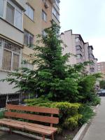 Шесть Этажей До Счастья - Ferienwohnung Tschornomorsk
