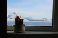 Aurora Studio Apartments - B&B Nuuk