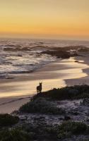 Duneberry Beach Studio - B&B Yzerfontein