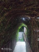Mundromocktail Tourist Home - Chambres d'hôtes Sāsthānkotta
