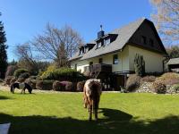 Apartmány U Sýkorky - B&B Malá Morávka