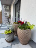 Pokoje na Wioślarskiej - B&B Augustów