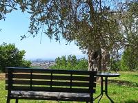 Whisper of Olives - 5 Min Drive to the Old Town, Bar - Chambres d'hôtes Bar