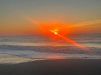 Stunning Beachfront 1 BR Condo in Myrtle Beach - B&B Myrtle Beach