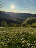 Apartma na podeželju - Slovenia Nature - B&B Kanal