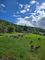 Le temps d'une pause bed and breakfast - B&B Servance