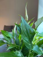 Apartment in the City center - B&B Viena