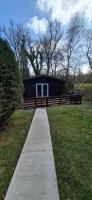 Torwood 6 - B&B Cenarth