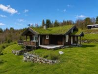 Cosy mountain cabin in Golsfjellet - B&B Gol