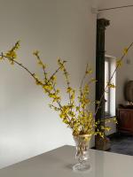 Kirisavan Loft - B&B Borgloon