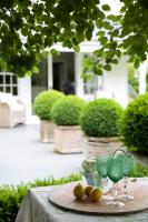 Wyett House - B&B Greytown