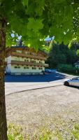 Haus Dienten Apartments nahe den Bergbahnen mit HochkönigCard - Bed and Breakfast Dienten am Hochkönig