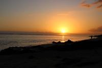 Appt La Cala June St-Gilles Plage Roches Noires - Bed and Breakfast Saint-Paul