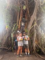 Fireworks Tree House - Chambres d'hôtes White Sands
