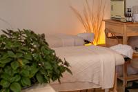 Habibi Hotel and SPA - Chambres d'hôtes San Miguel de Allende