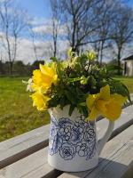 Yurt Sleeps 2 - Bbq & Fire Pit - Dogs Welcome - B&B Bodmin