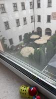 Memories apartments Jungle - Bed and Breakfast Brno