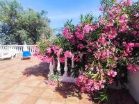 Vivenda Vento - B&B São Brás de Alportel