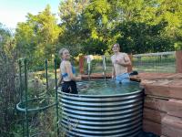 Wollombi Country Dairy - B&B Wollombi