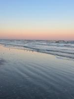 Galveston Beach House - B&B Galveston