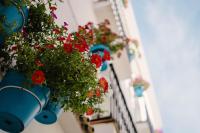 Hostal Boutique Tolox Sierra de las Nieves - B&B Tolox