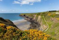Heart of St Davids Cottage with Parking - Pet Friendly - Ferienwohnung St Davids