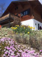 Cozy chalet with panoramic views in Leysin - B&B Leysin