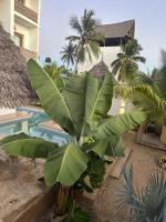 Lala salama Kendwa villas - Bed and Breakfast Kendwa