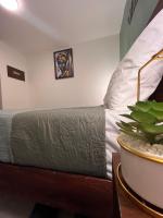 Alojamiento Jardin Balbuena cerca GNP AICM Zócalo 113 - B&B Mexico City