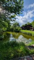 Котедж з власною сауною є чан та літній басейн - B&B Poltava