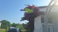 Villa Ol e Sol - B&B Vir