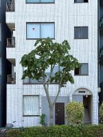 Tachibana hotel Haneda - B&B Tokyo