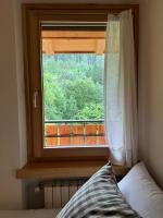 Da Carlotta Dolomiti Apartments - Chambres d'hôtes Nebbiu