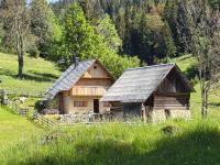 Cabin Praprotnica Pokljuka - Bed and Breakfast Srednja vas v Bohinju