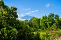 Adyara Homestay - B&B Sidemen