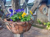 BEE-autiful Stay SC Garden Cottage - B&B Bloemfontein
