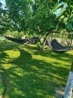 Zakątek u Grzesia Gril & Chill - B&B Trzebieszewo