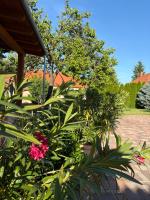 Villa Rebecca - B&B Szekszárd