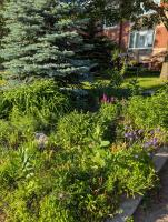 West End Basement Apartment - Ferienwohnung Toronto