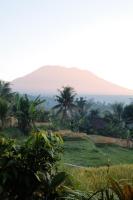 Embun Pagi Homestay And Spa - B&B Sidemen