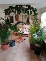Charmant coin sur Durand - B&B Saint-Joseph