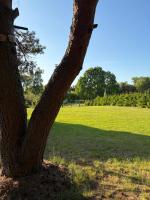 Leśny Wóz Drzymały Spore - 1500 m2 terenu na wyłączność! - Bed and Breakfast Szczecinek