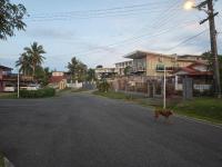 77 Fulaga Flats - B&B Suva